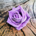 3D Форма силиконовая "Роза Purple" (предварительный заказ) 